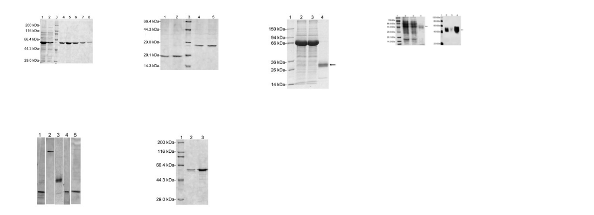 6551c92841c5e.png image.png