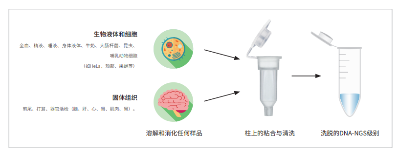 659e3d92b0795.png image.png