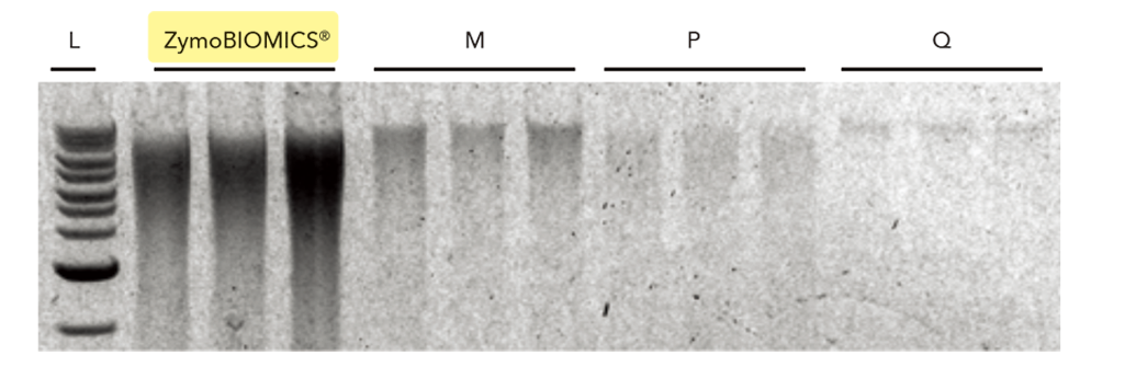 66ab415303909.png 2.png