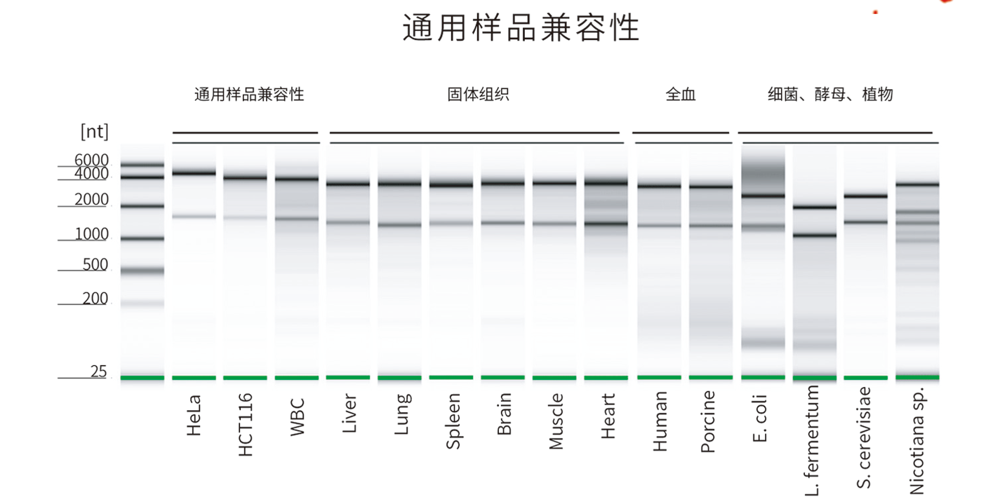 66b4275cd560a.png 1.png