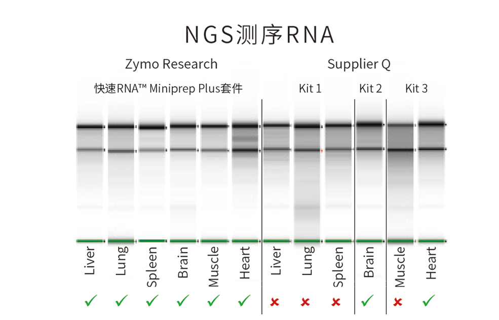 66b42794a5fc7.png 3.png