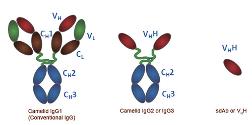 6836af694172f.png aa85a833b6b08e29eed228af1ee8042.png